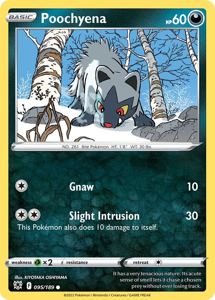 Poochyena - Image 1