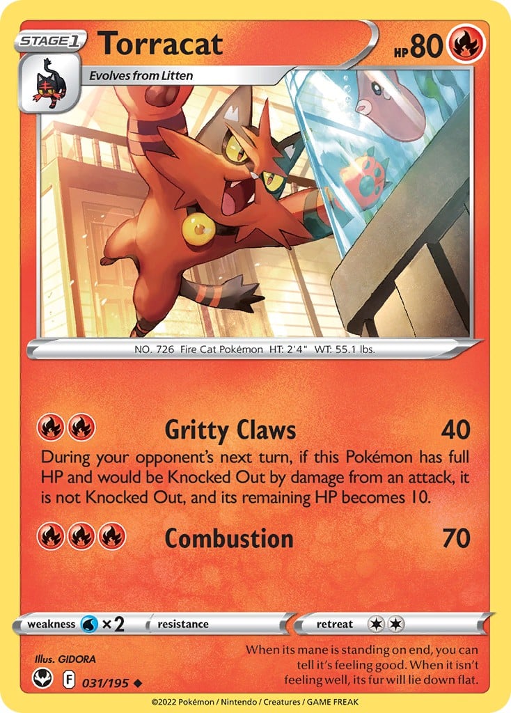 Torracat - Image 1