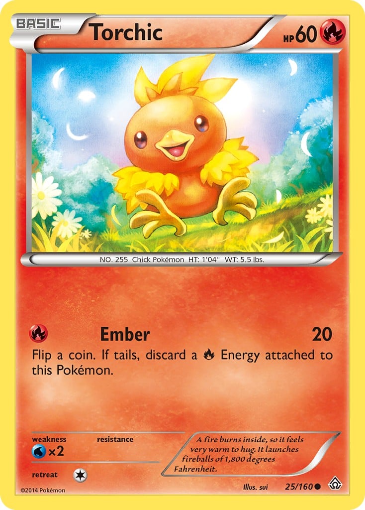 Torchic - Image 1