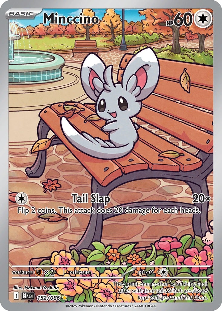 Minccino - Image 1