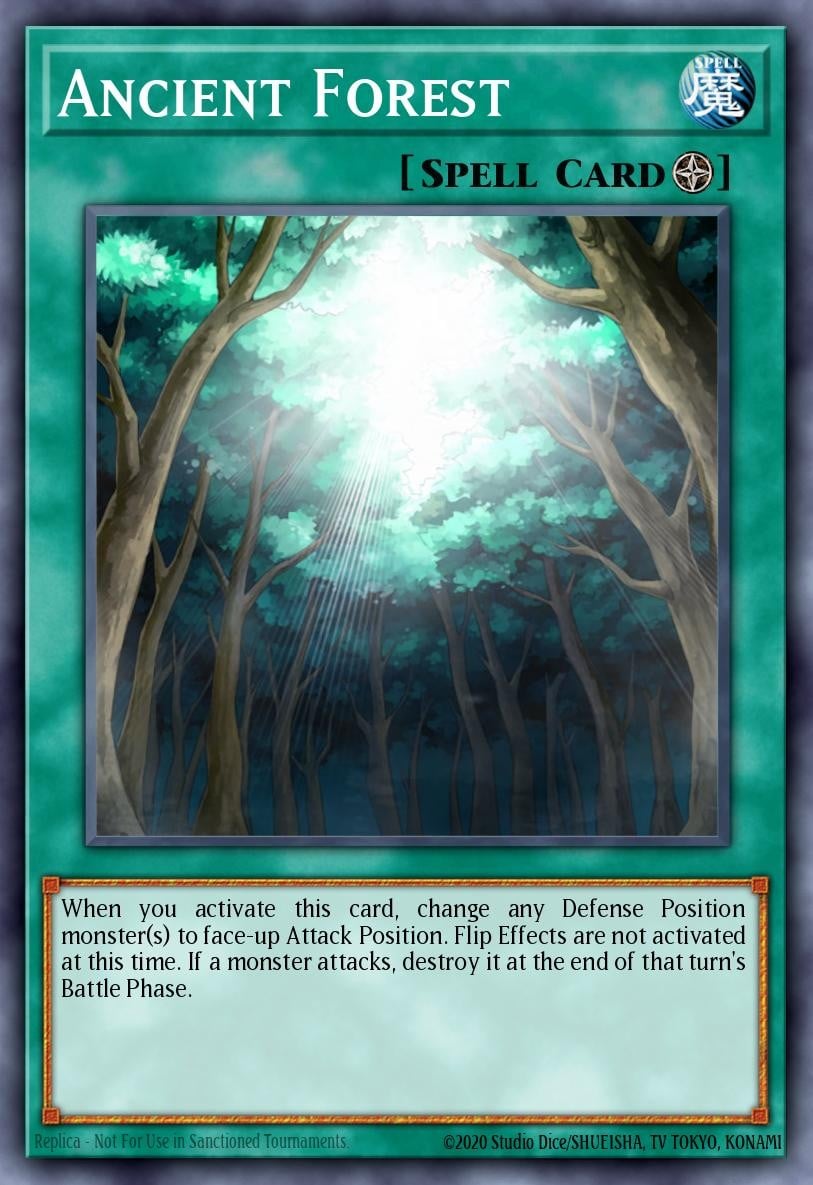 Ancient Forest - Image 1