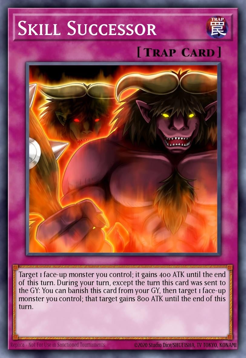 Skill Successor - Image 1