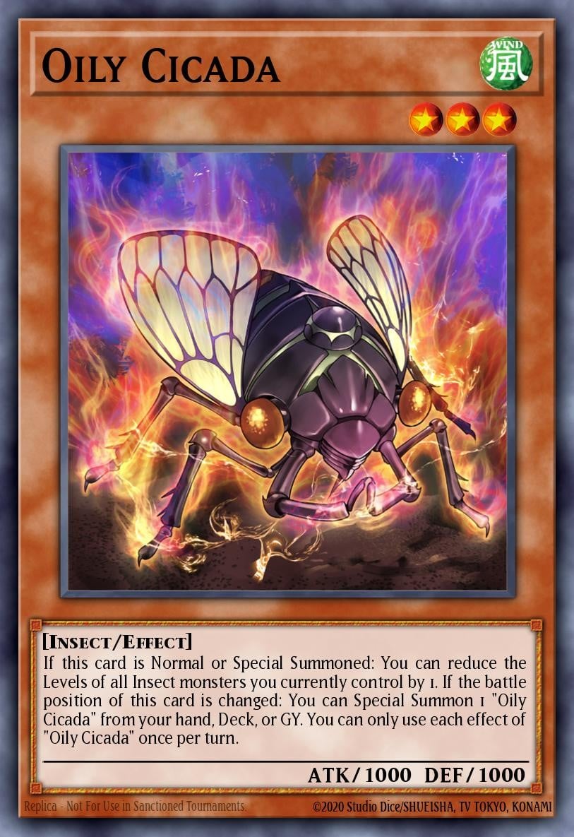 Oily Cicada - Image 1