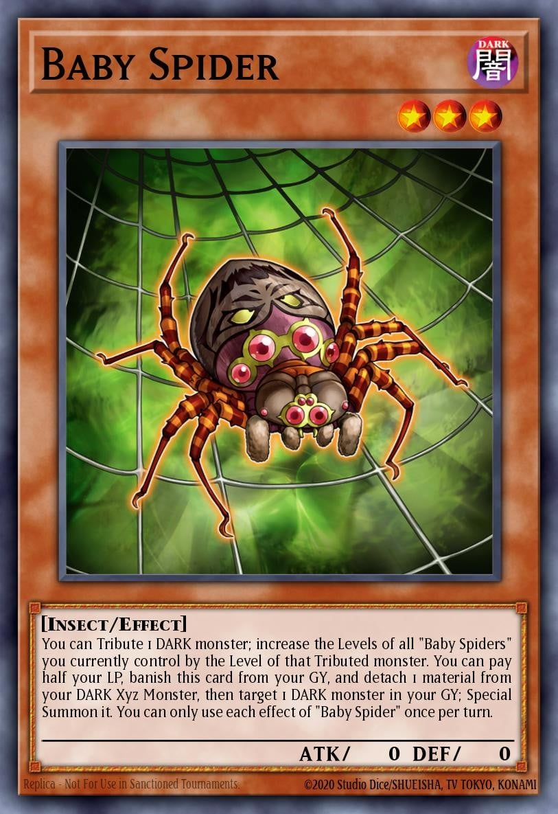 Baby Spider - Image 1