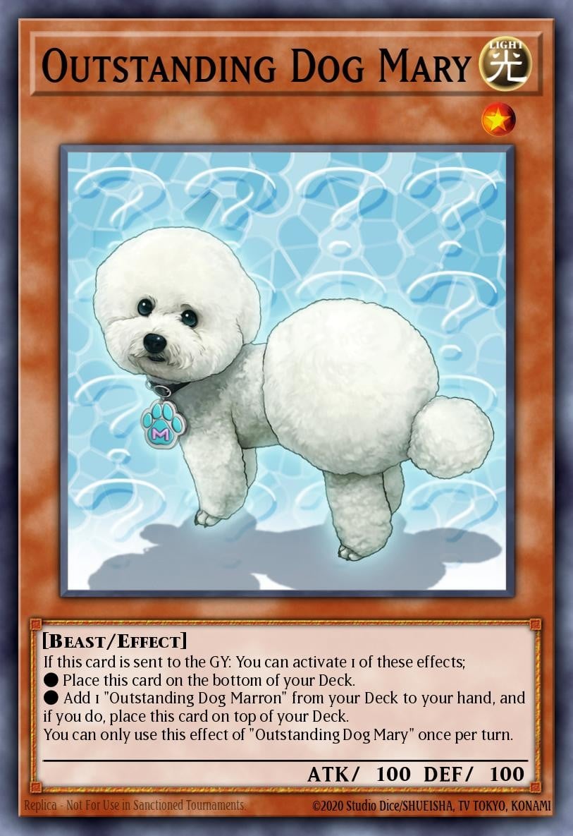 Outstanding Dog Mary - Image 1