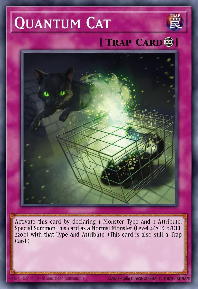 Quantum Cat - Image 1