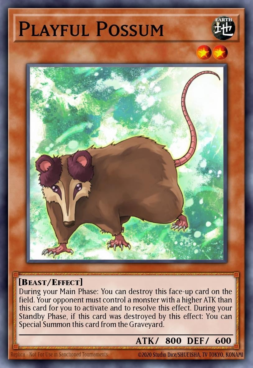Playful Possum - Image 1