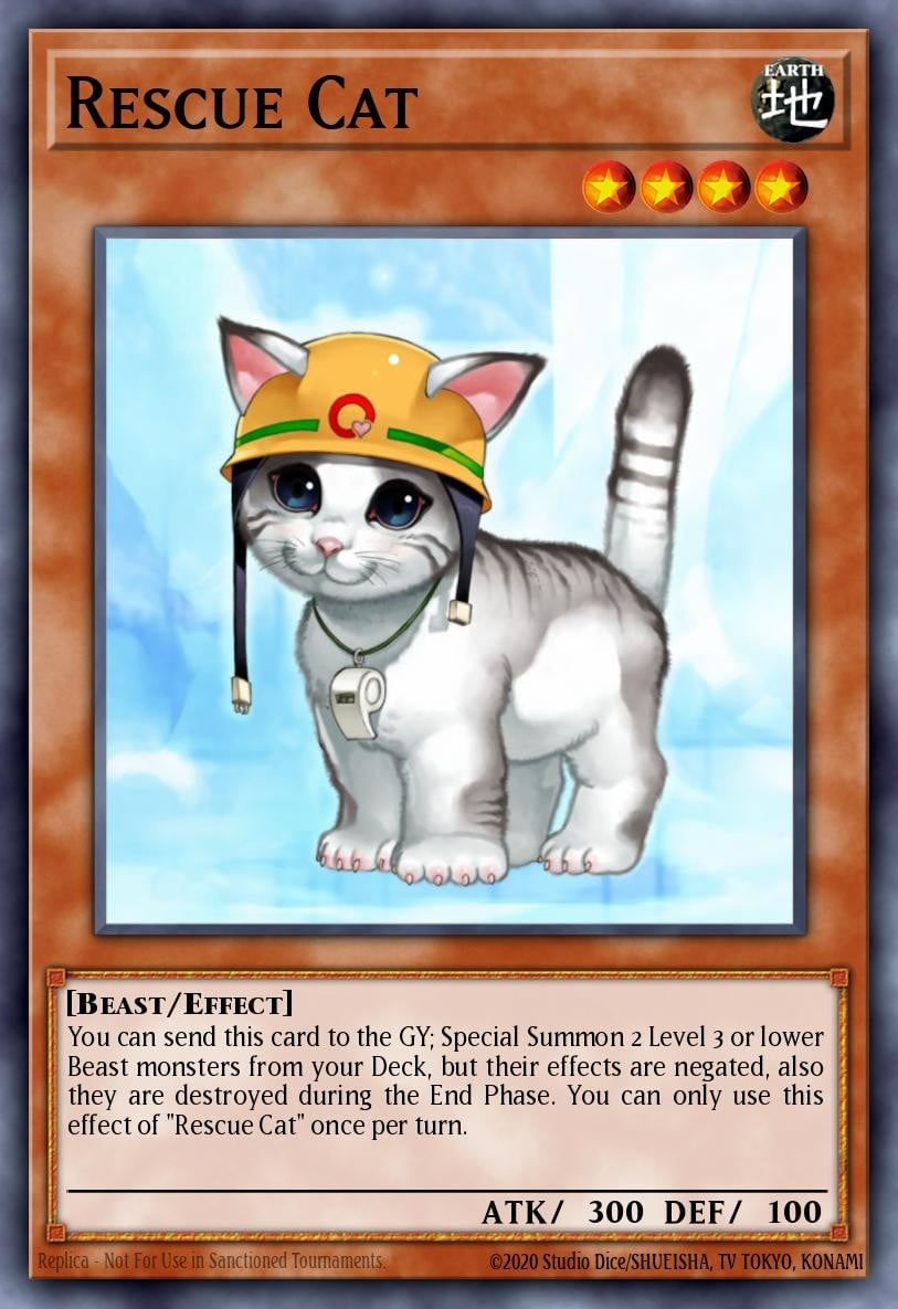 Rescue Cat - Image 1