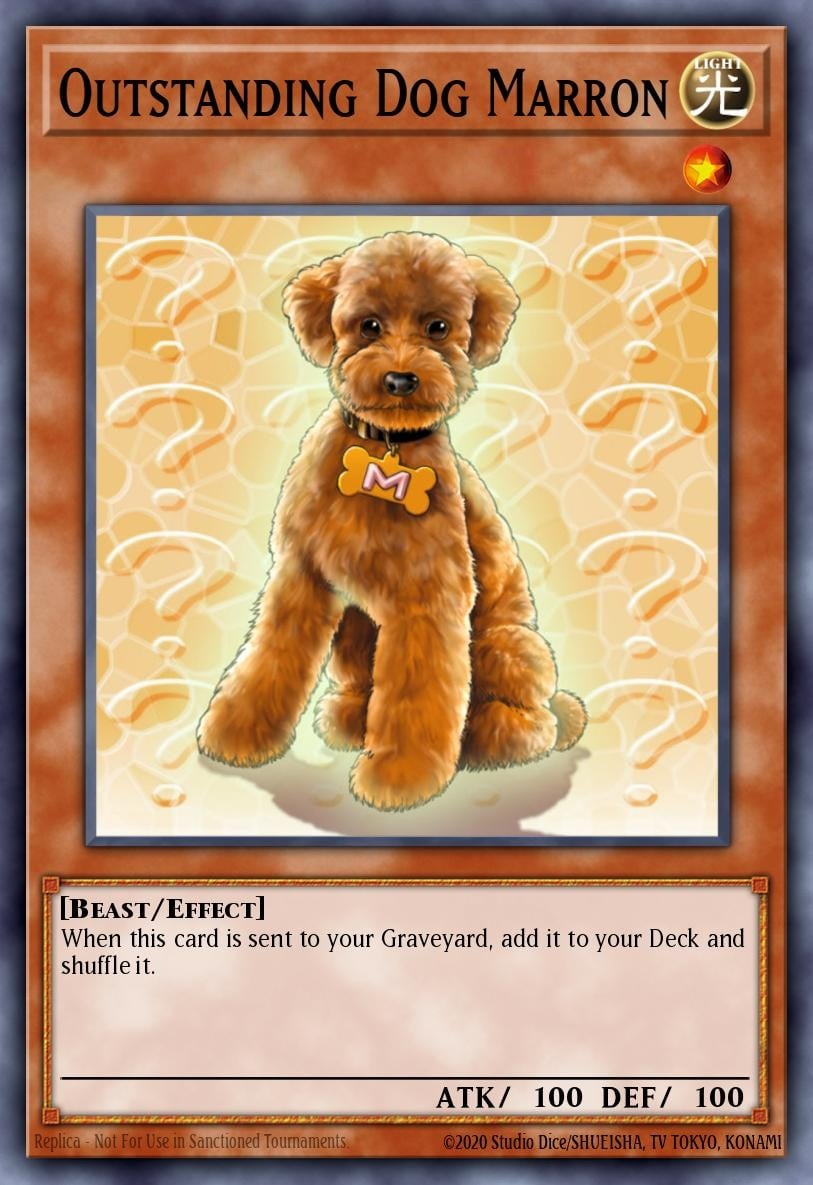 Outstanding Dog Marron - Image 1
