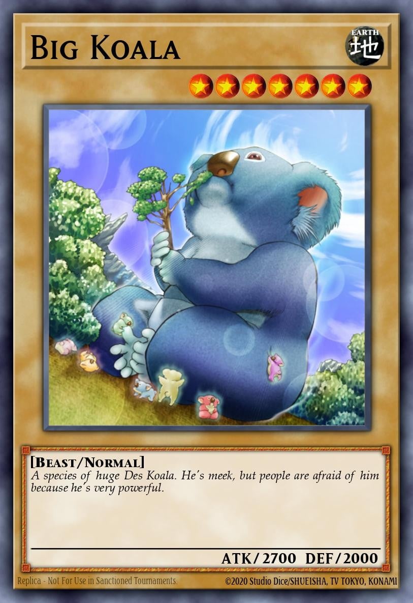 Big Koala - Image 1