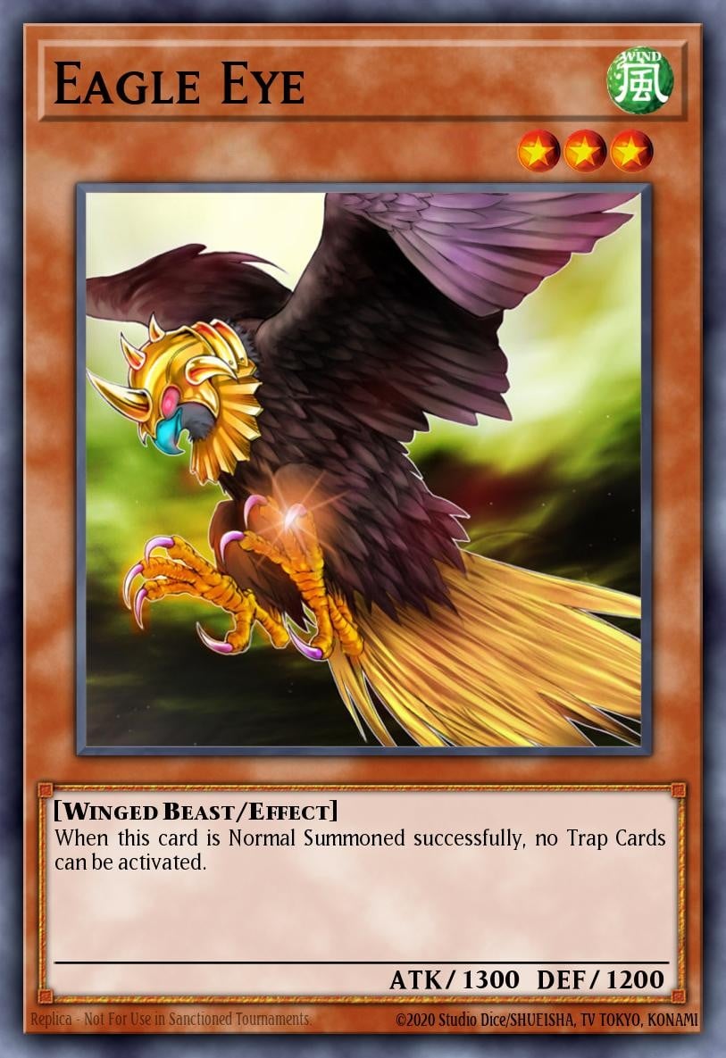 Eagle Eye - Image 1