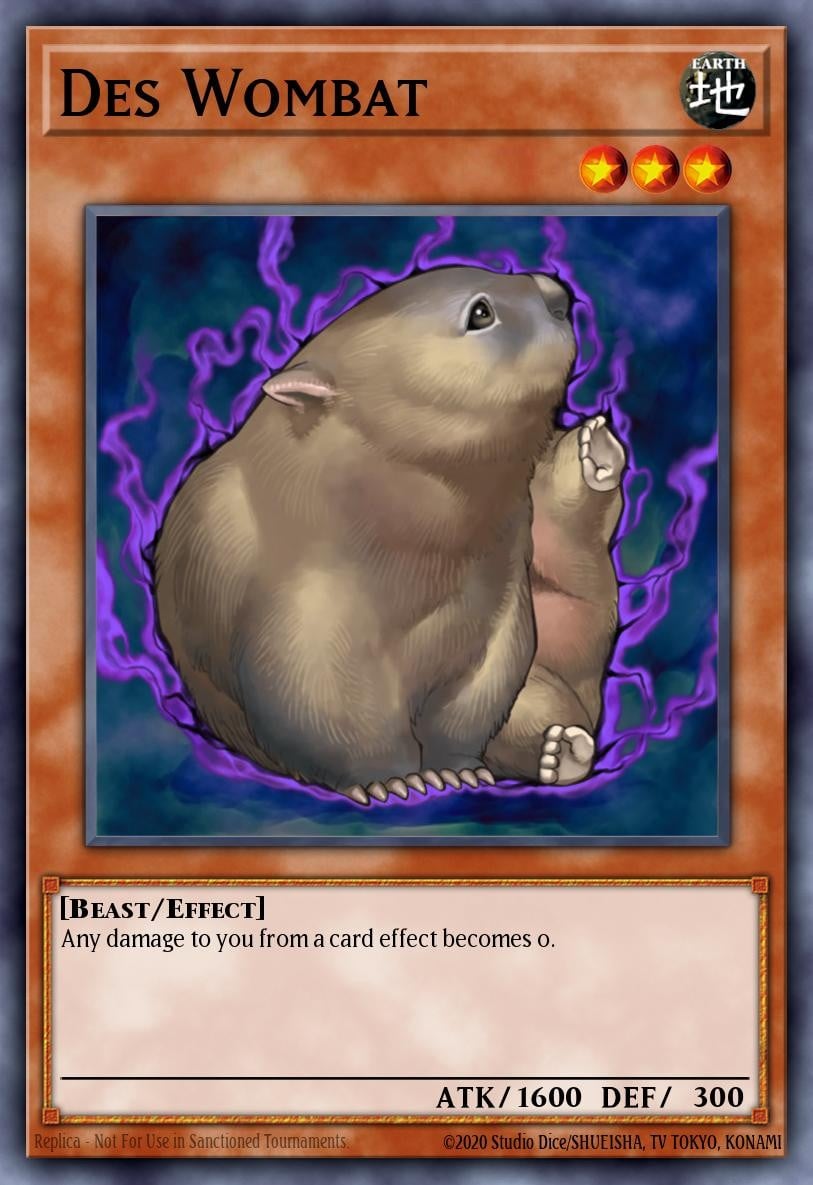 Des Wombat - Image 1