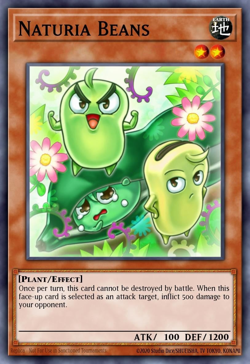 Naturia Beans - Image 1
