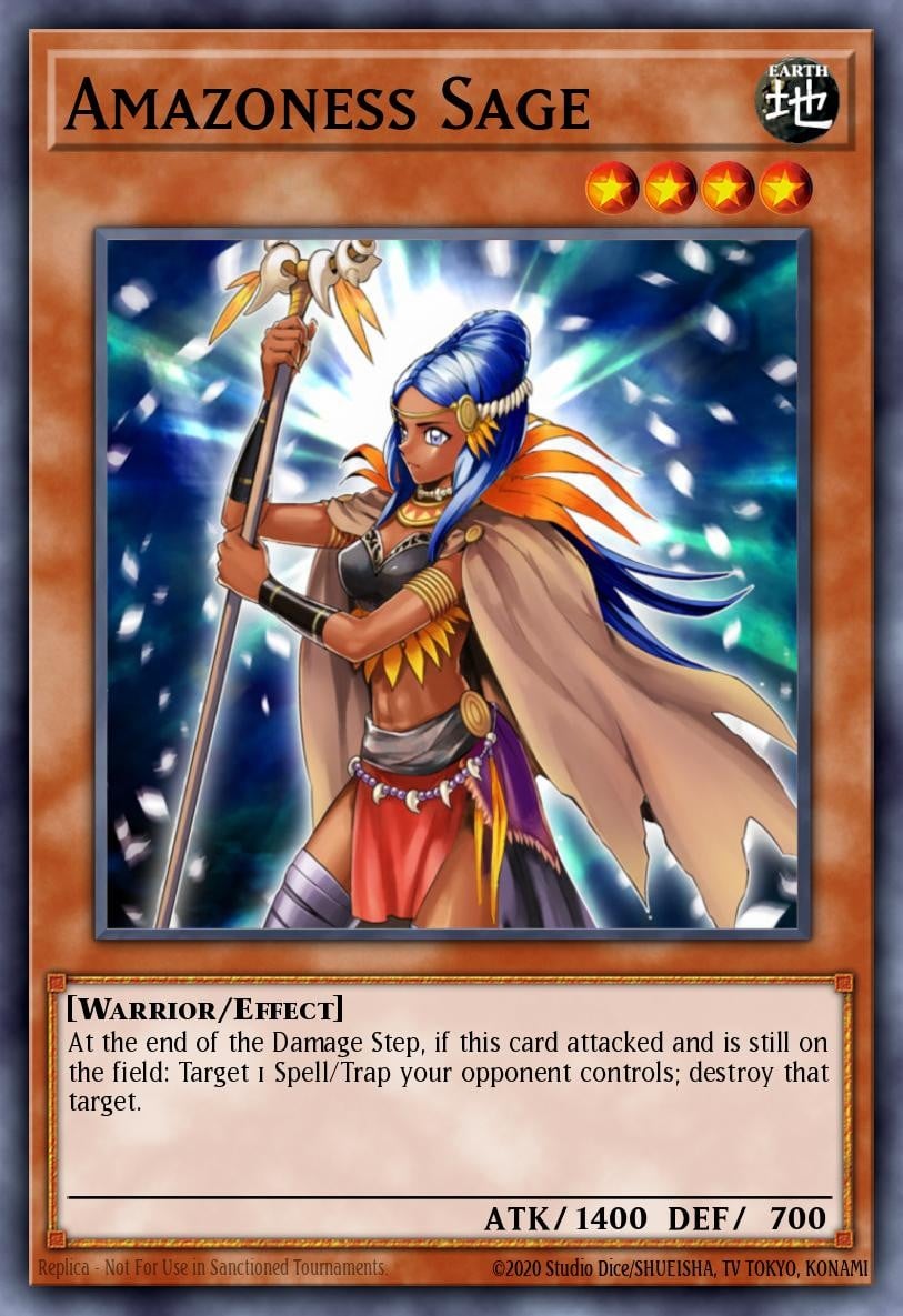Amazoness Sage - Image 1