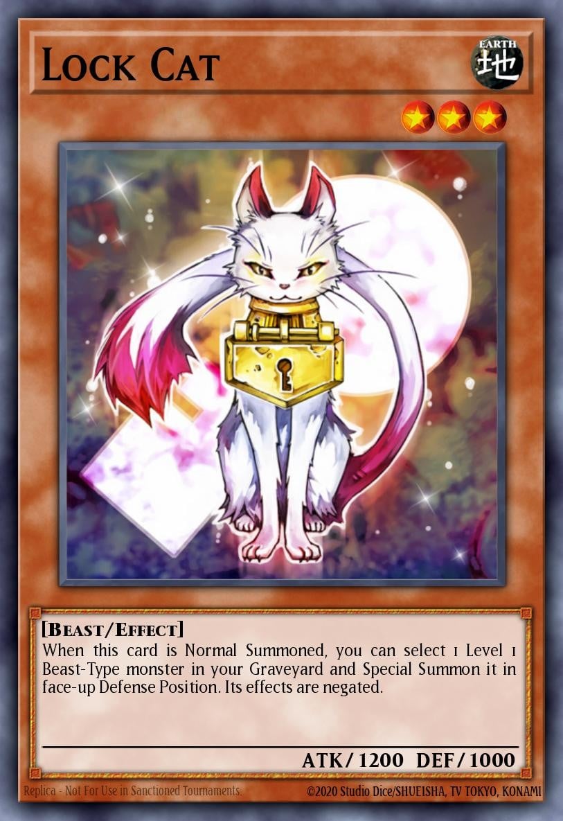 Lock Cat - Image 1
