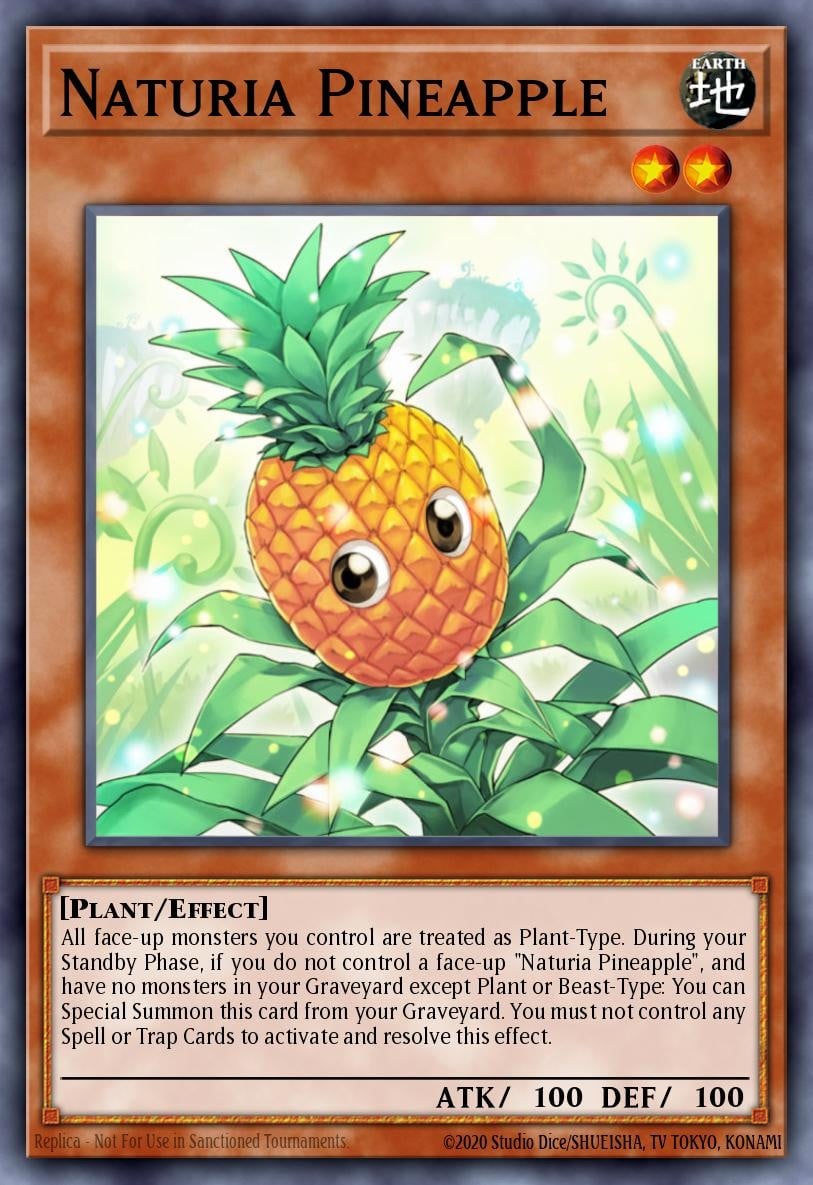 Naturia Pineapple - Image 1