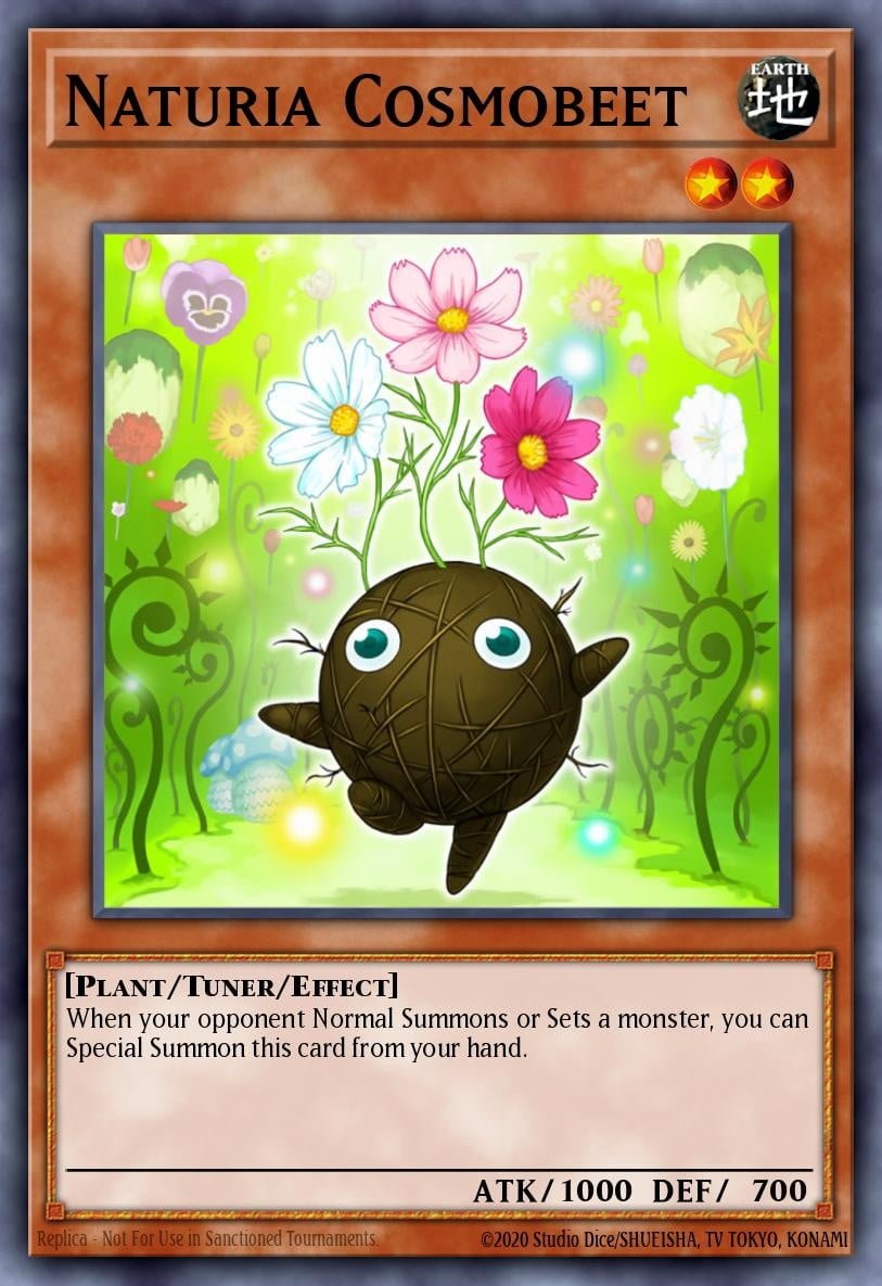 Naturia Cosmobeet - Image 1