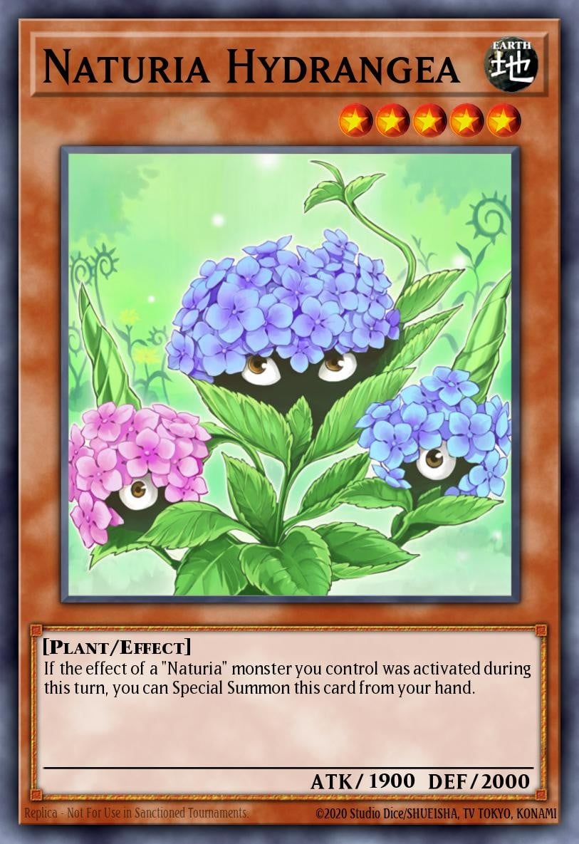 Naturia Hydrangea - Image 1