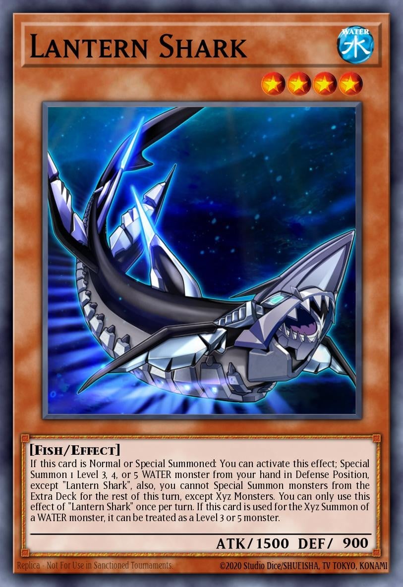 Lantern Shark - Image 1