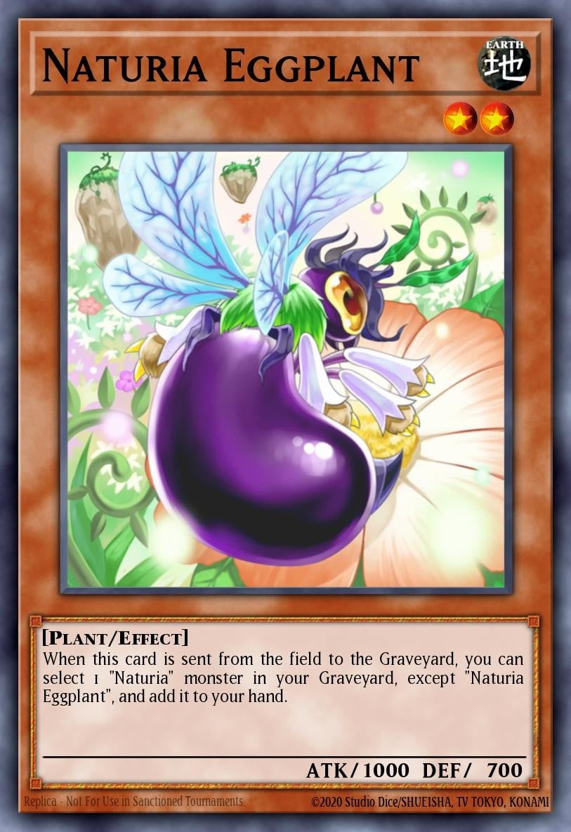 Naturia Eggplant - Image 1
