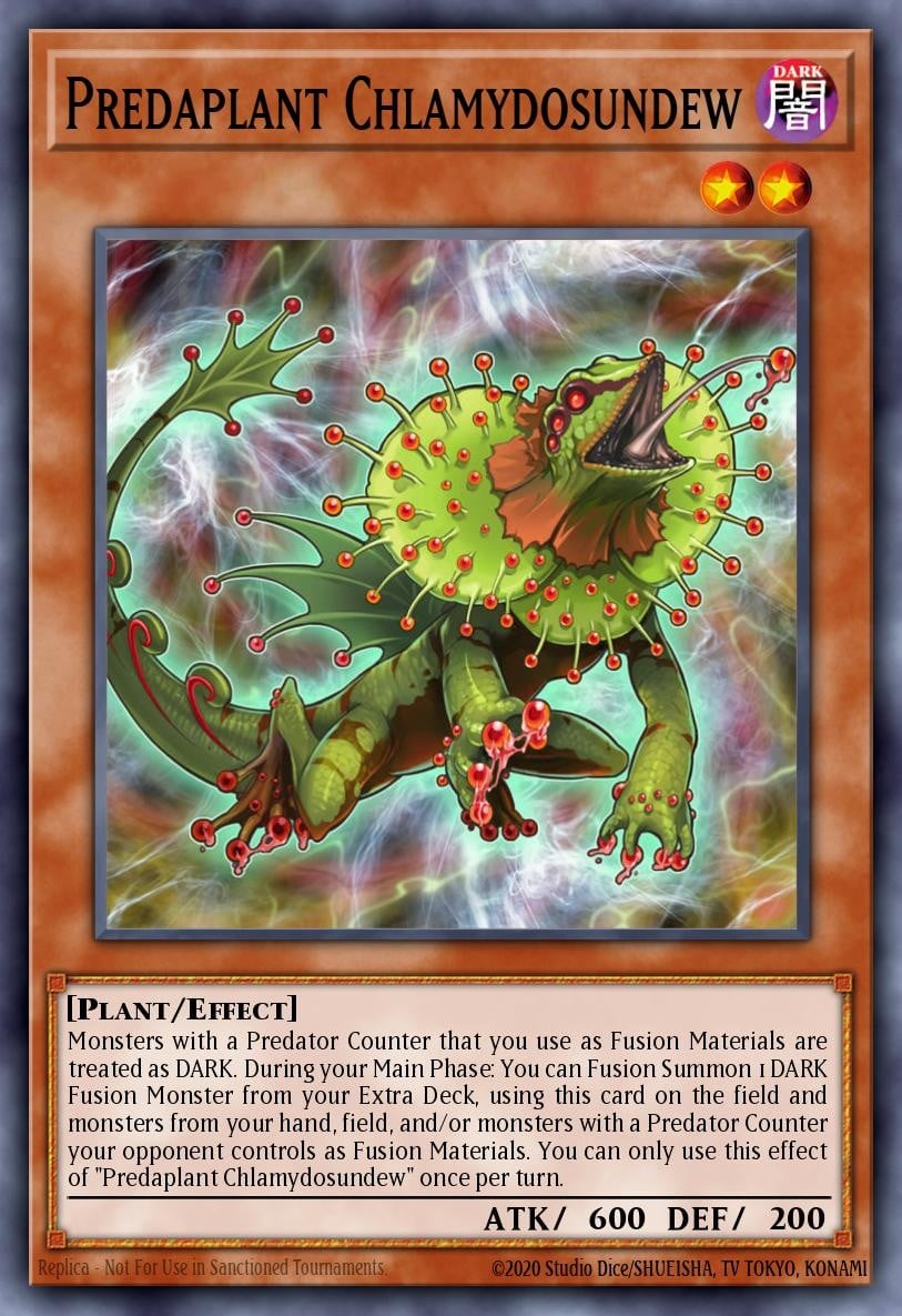 Predaplant Chlamydosundew - Image 1