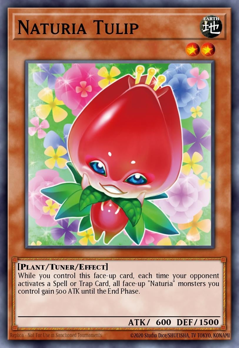Naturia Tulip - Image 1