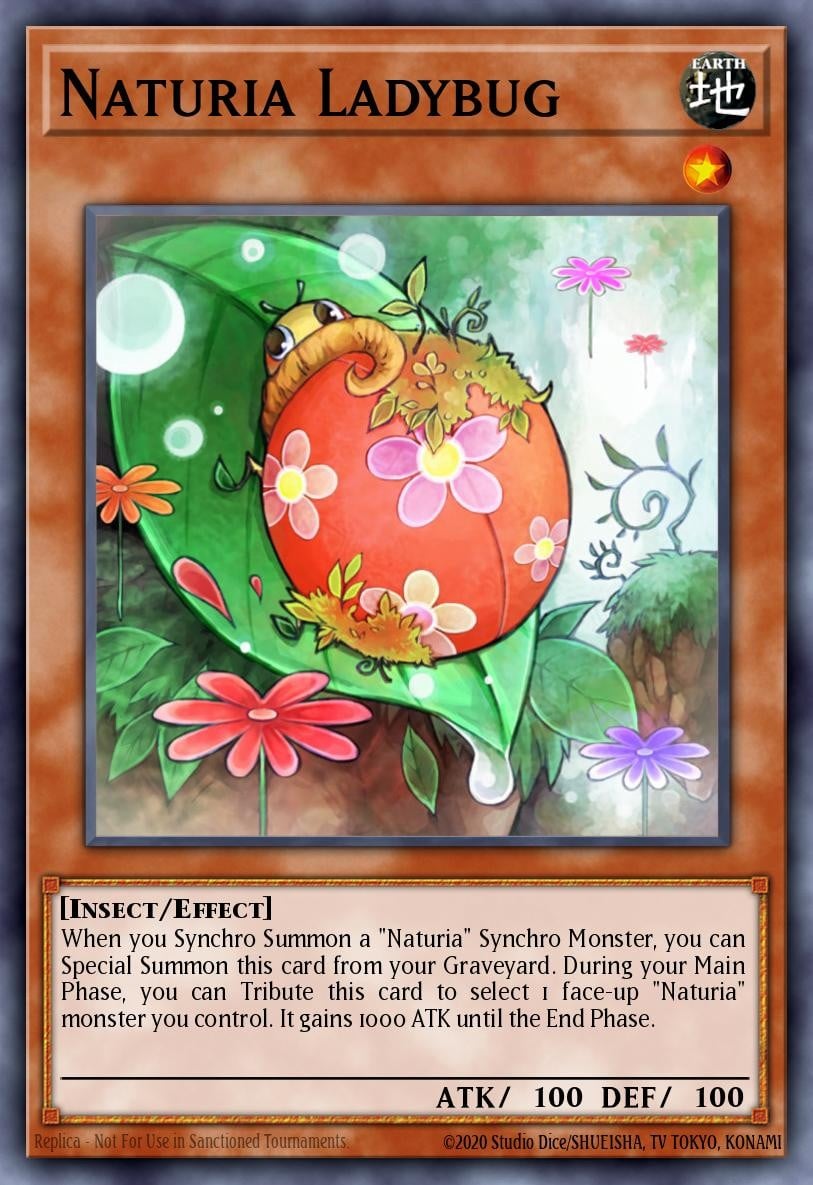 Naturia Ladybug - Image 1