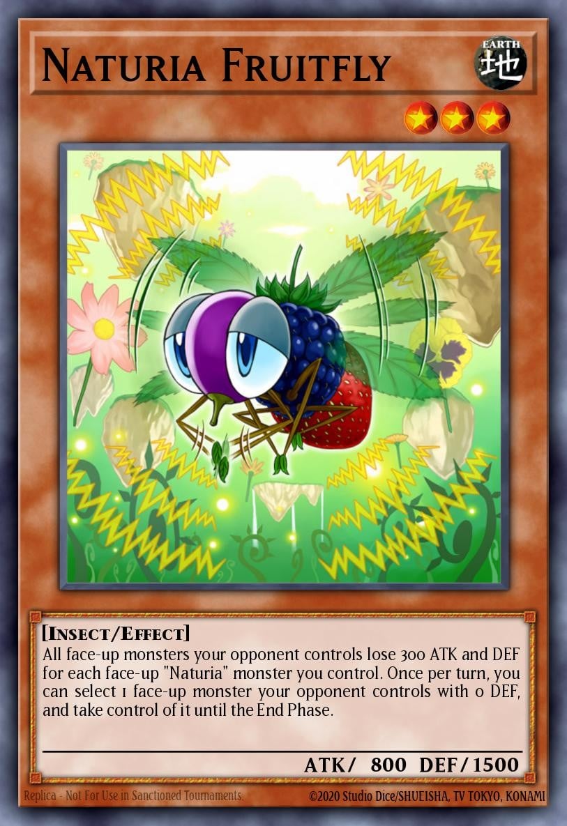 Naturia Fruitfly - Image 1