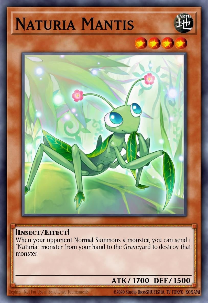 Naturia Mantis - Image 1