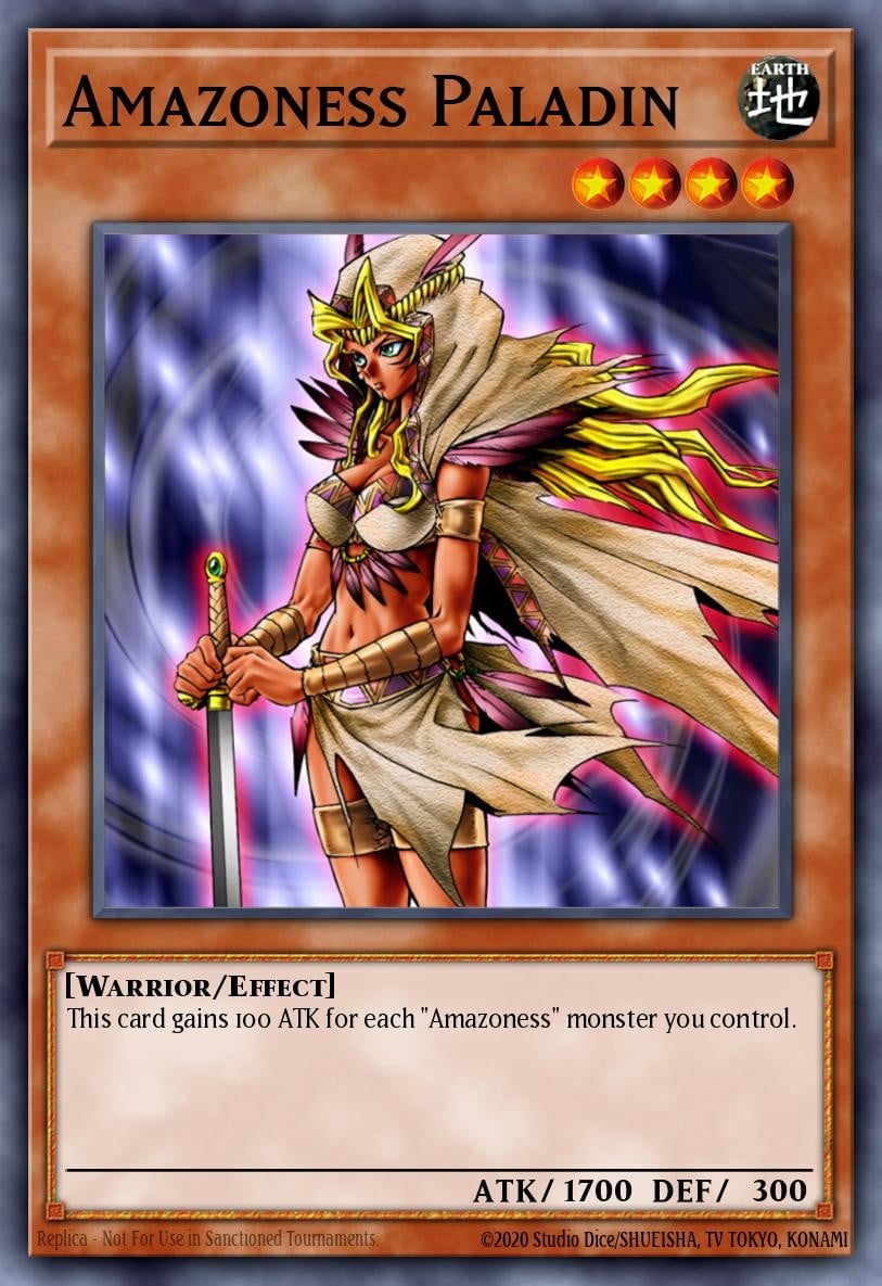 Amazoness Paladin - Image 1