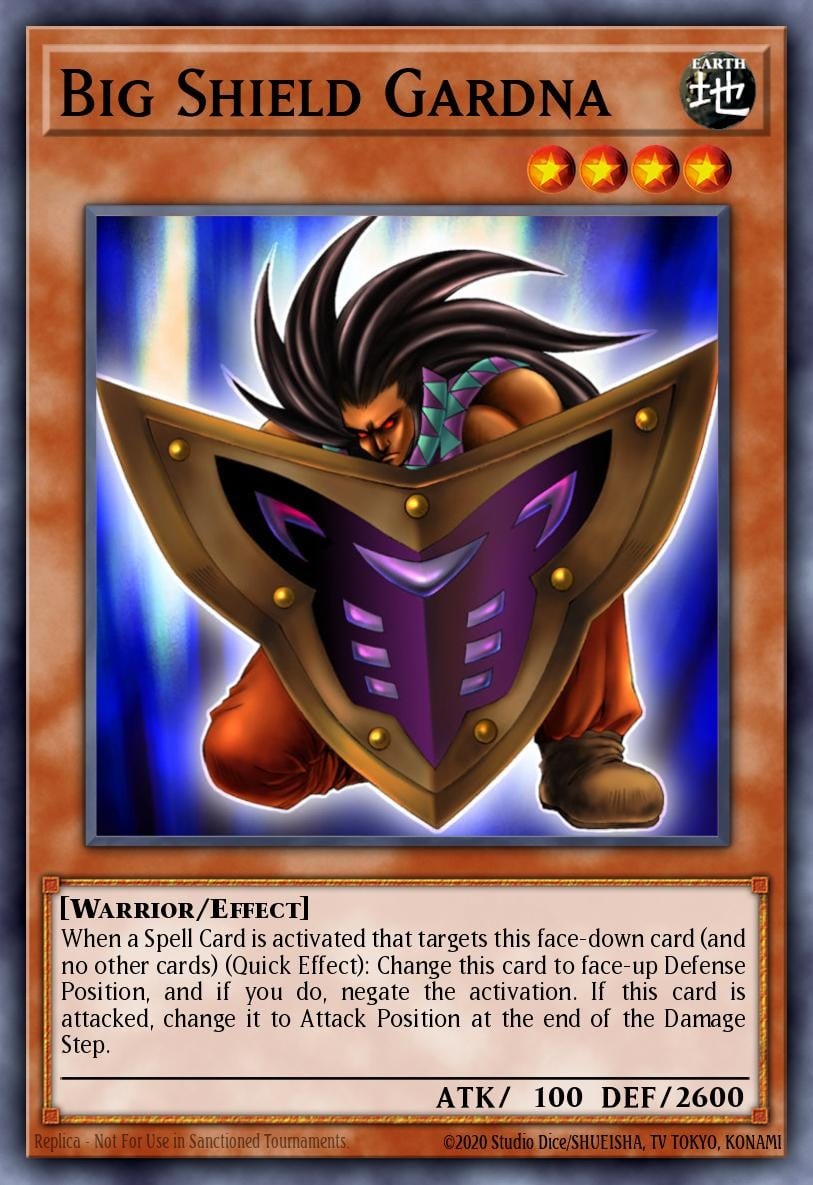 Big Shield Gardna - Image 1