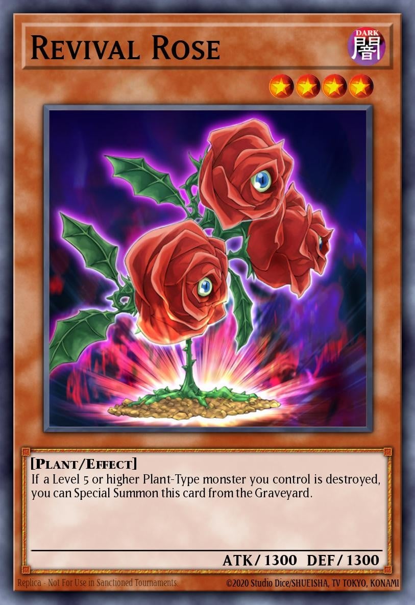 Revival Rose - Image 1