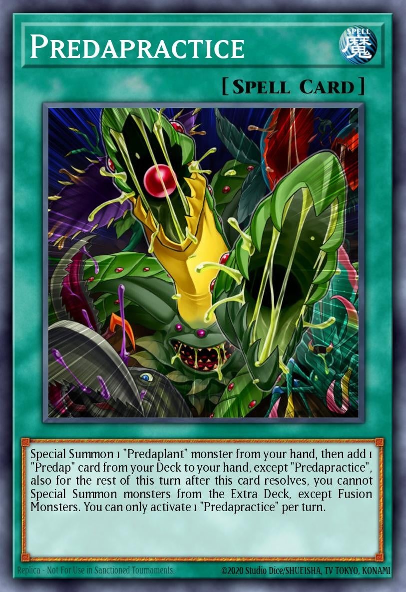 Predapractice - Image 1