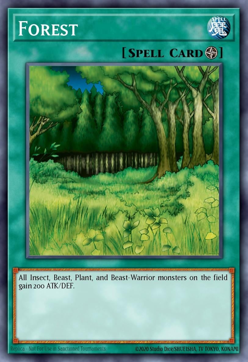 Forest - Image 1