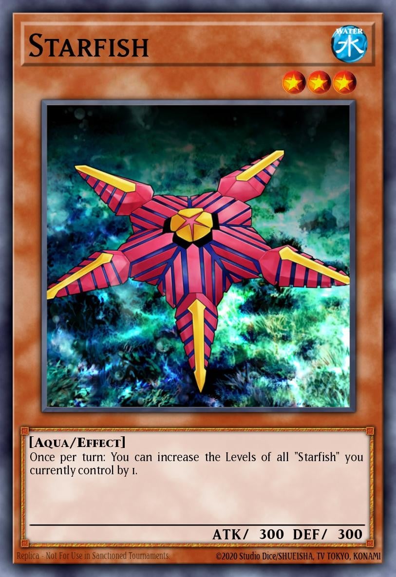 Starfish - Image 1