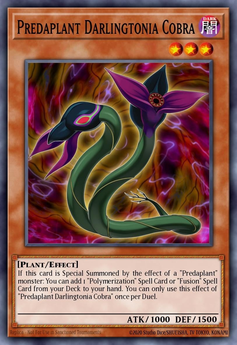 Predaplant Darlingtonia Cobra - Image 1