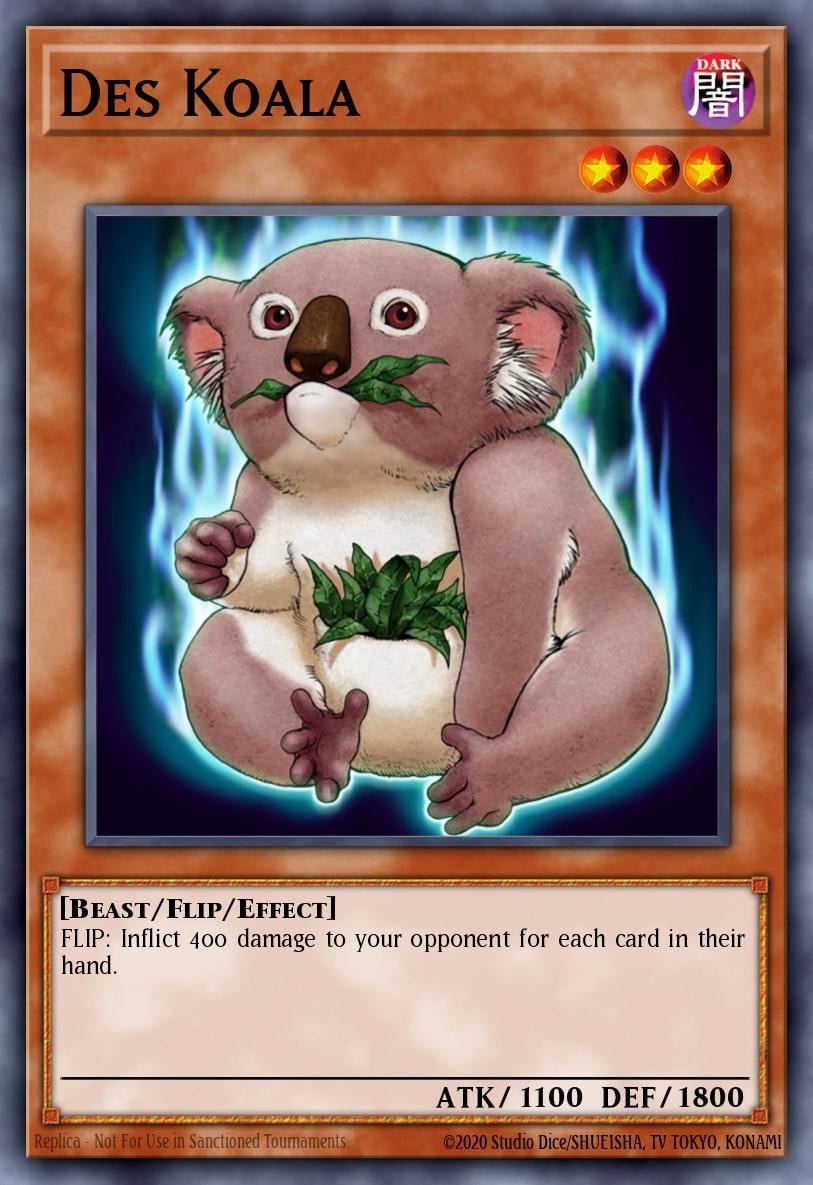 Des Koala - Image 1