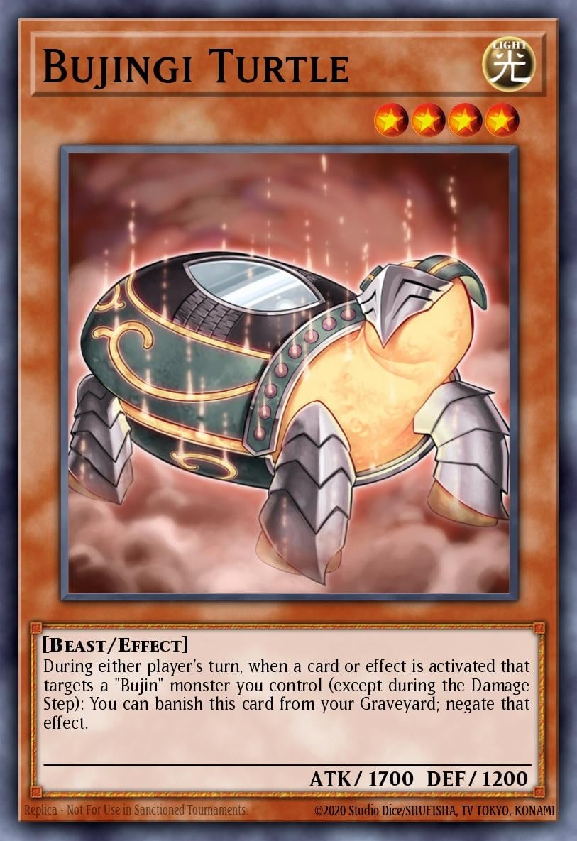 Bujingi Turtle - Image 1