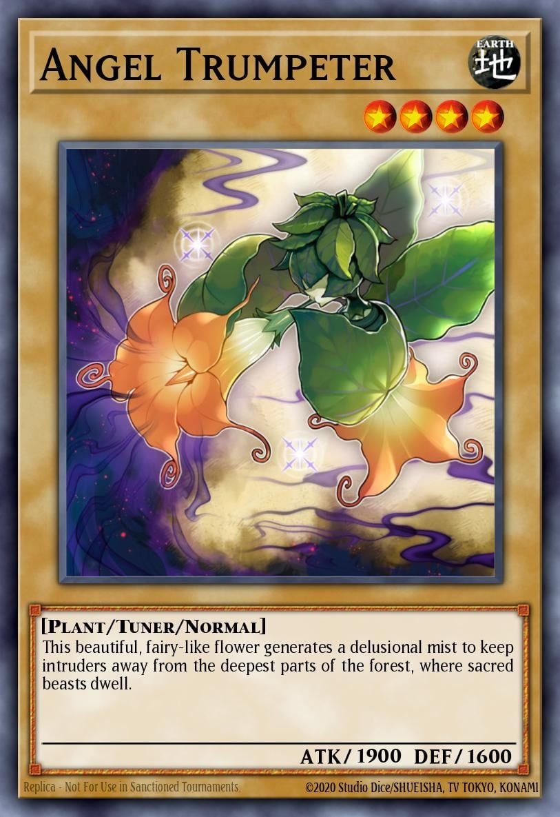 Angel Trumpeter - Image 1