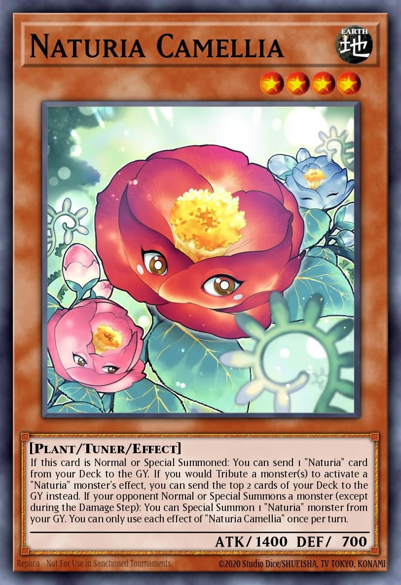 Naturia Camellia - Image 1