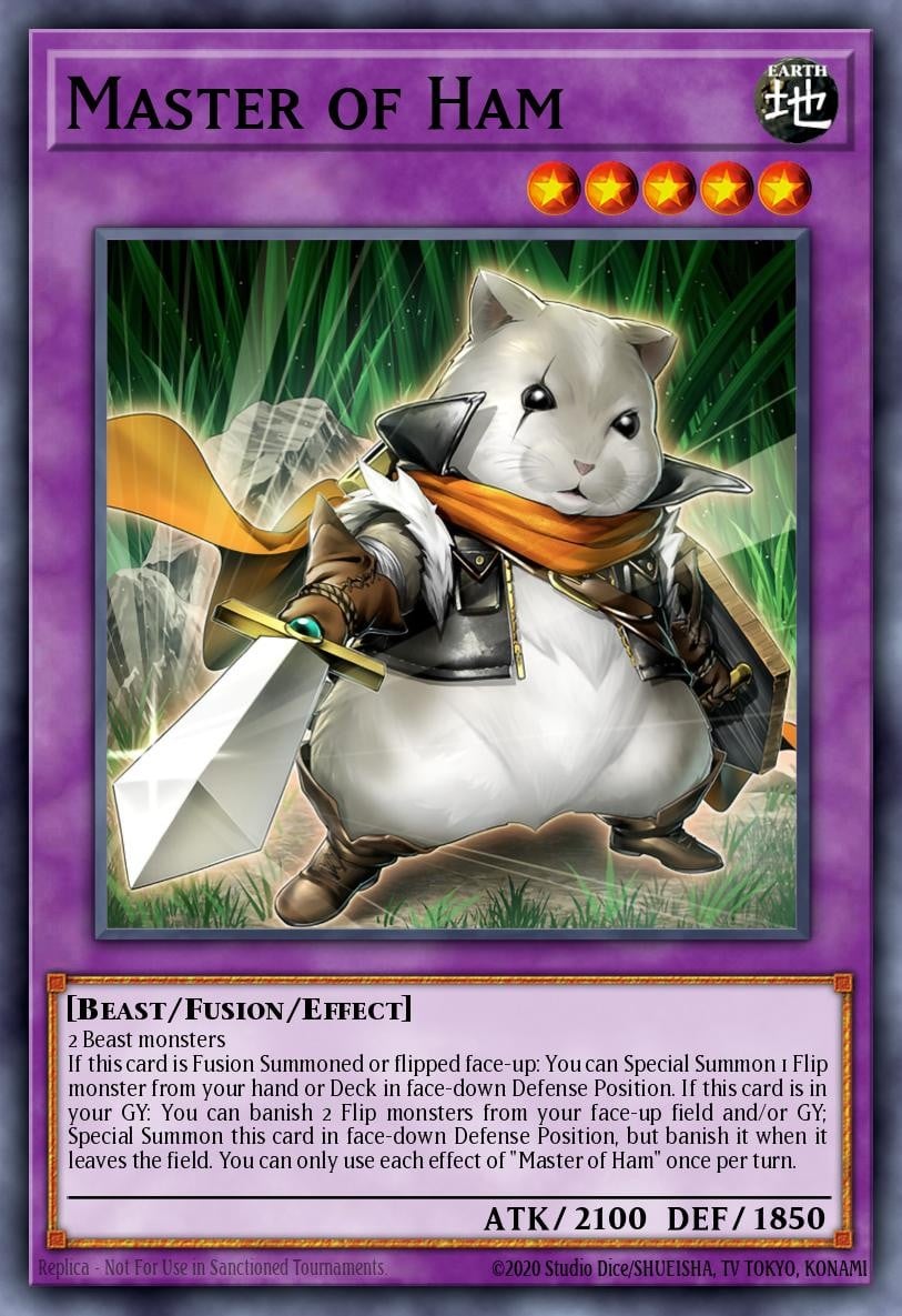 Master of Ham - Image 1