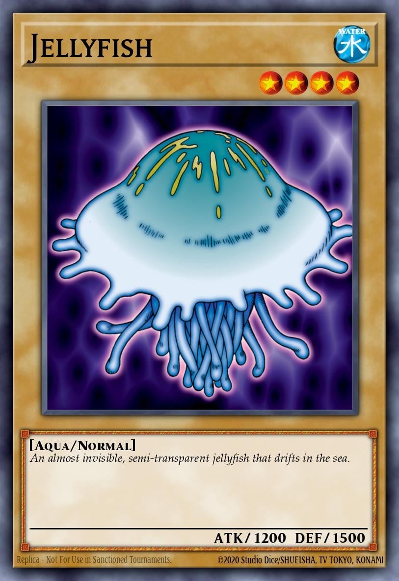 Jellyfish - Image 1