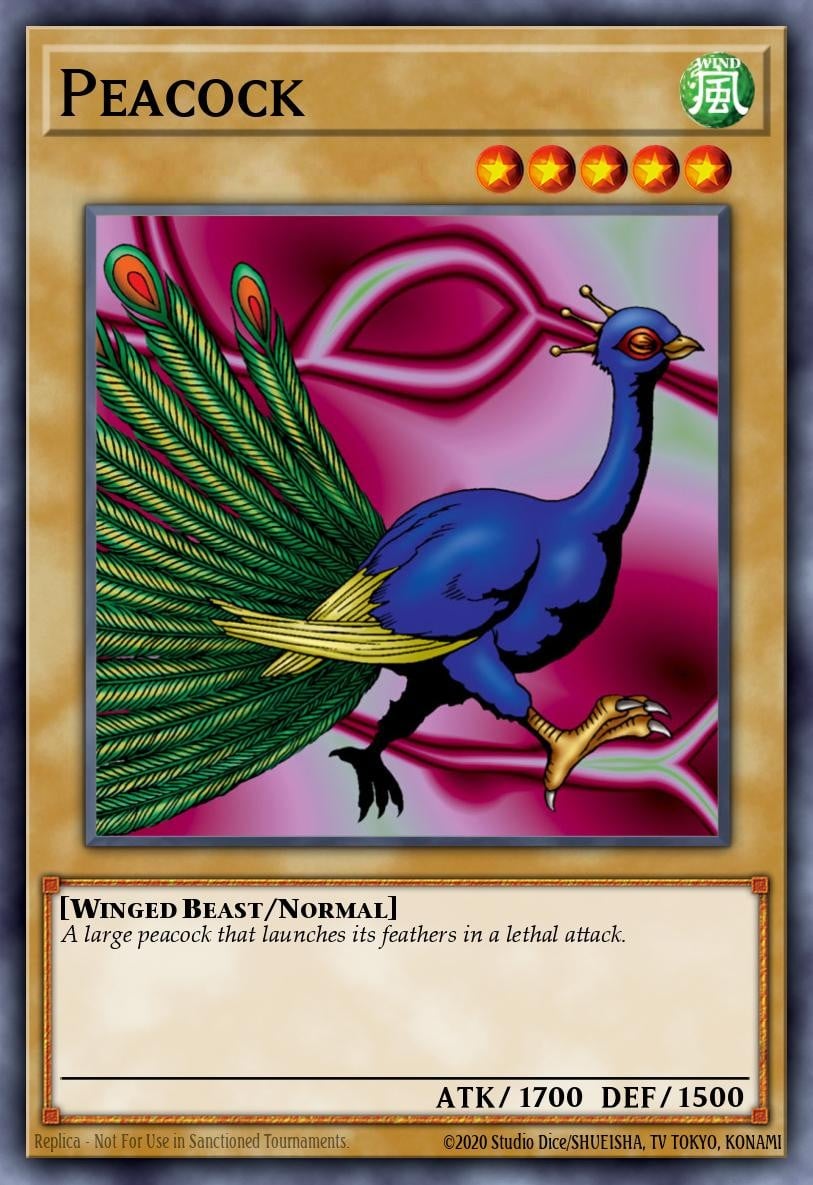 Peacock - Image 1