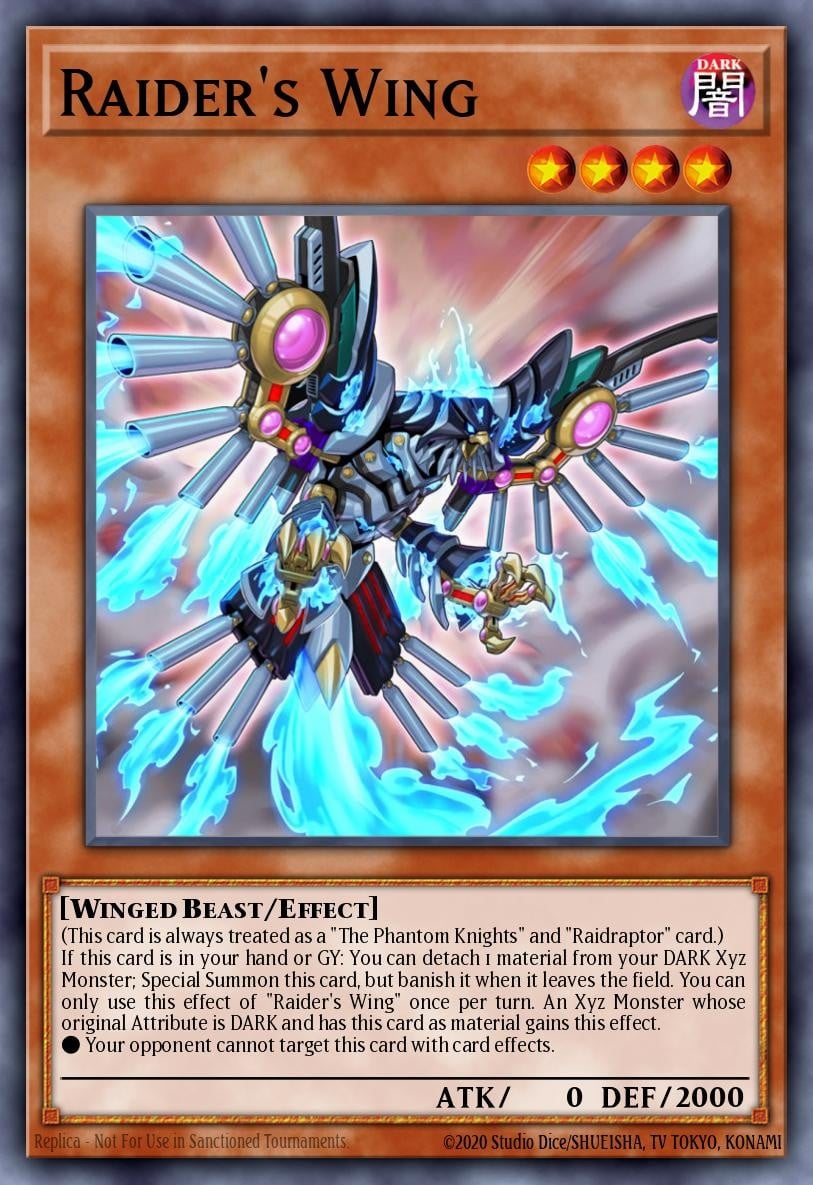 Raider's Wing - Image 1