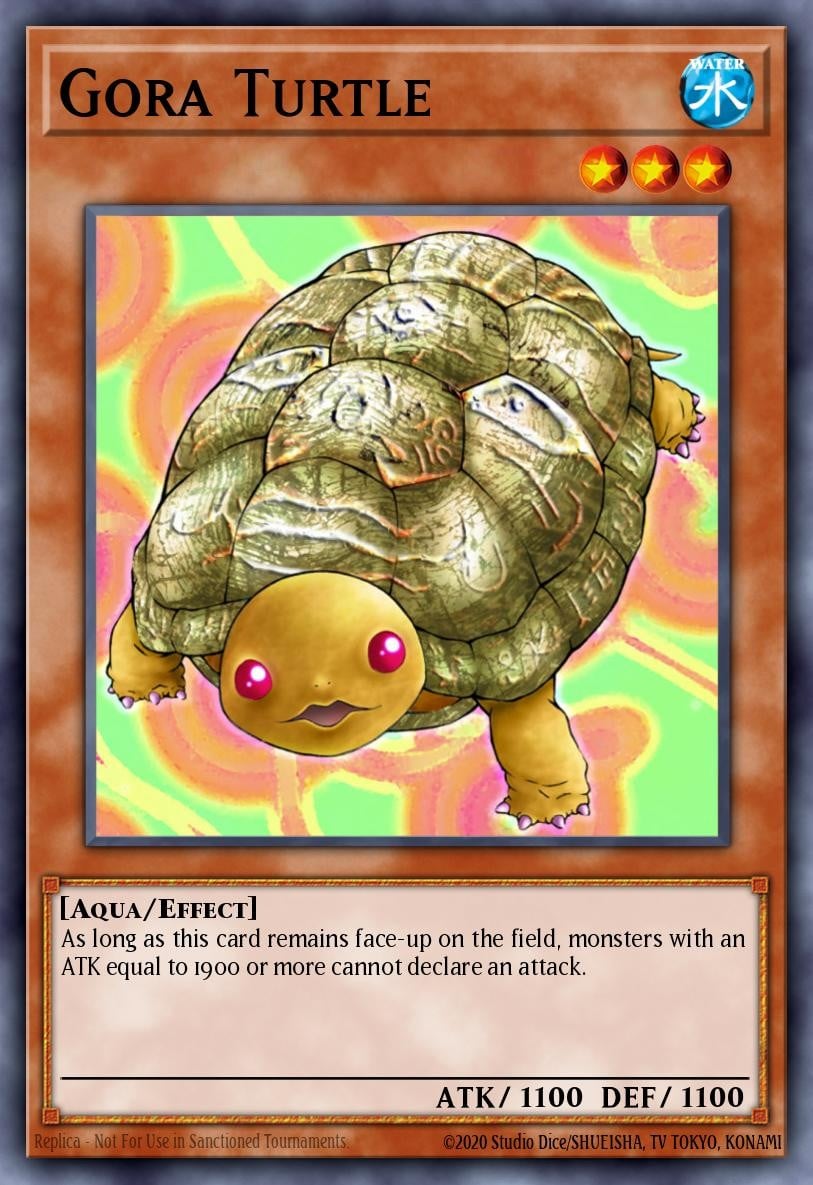 Gora Turtle - Image 1