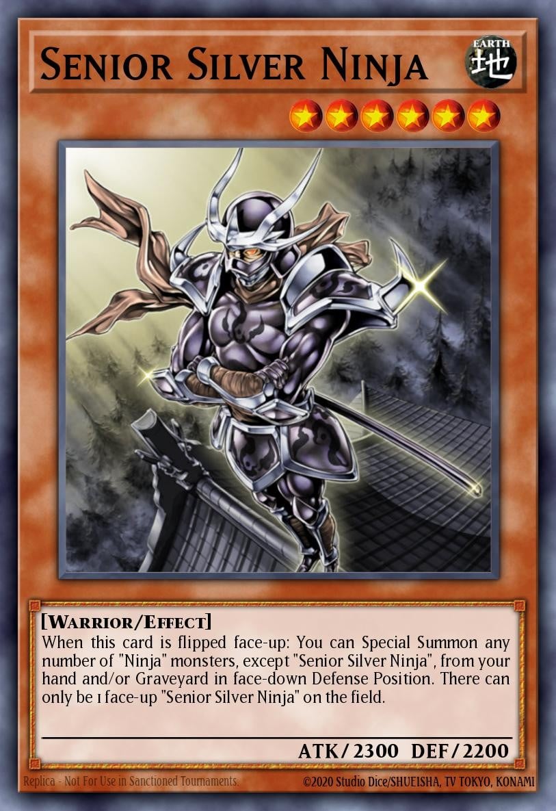 Senior Silver Ninja - Image 1