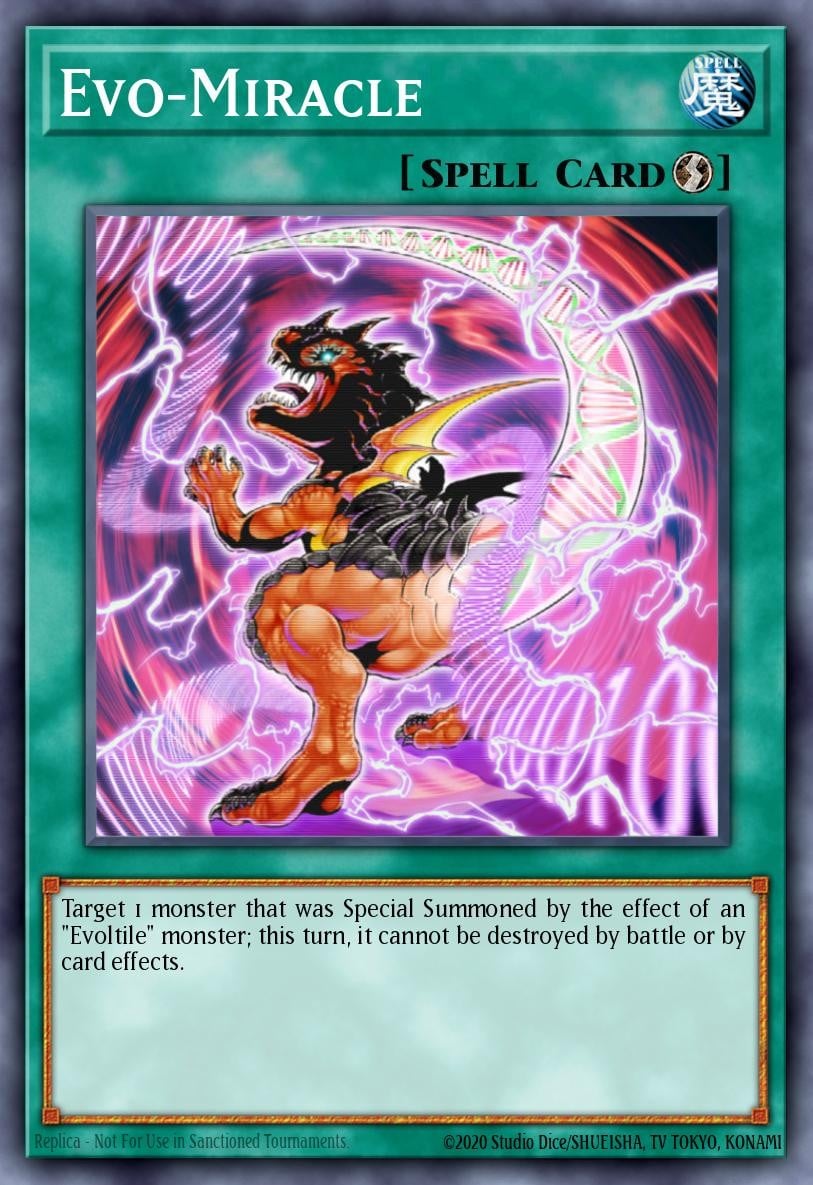Evo-Miracle - Image 1