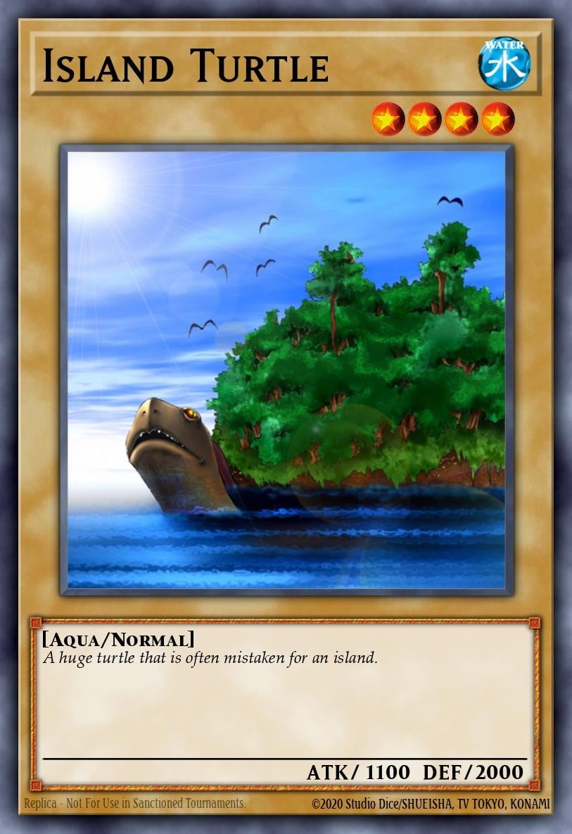 Island Turtle - Image 1