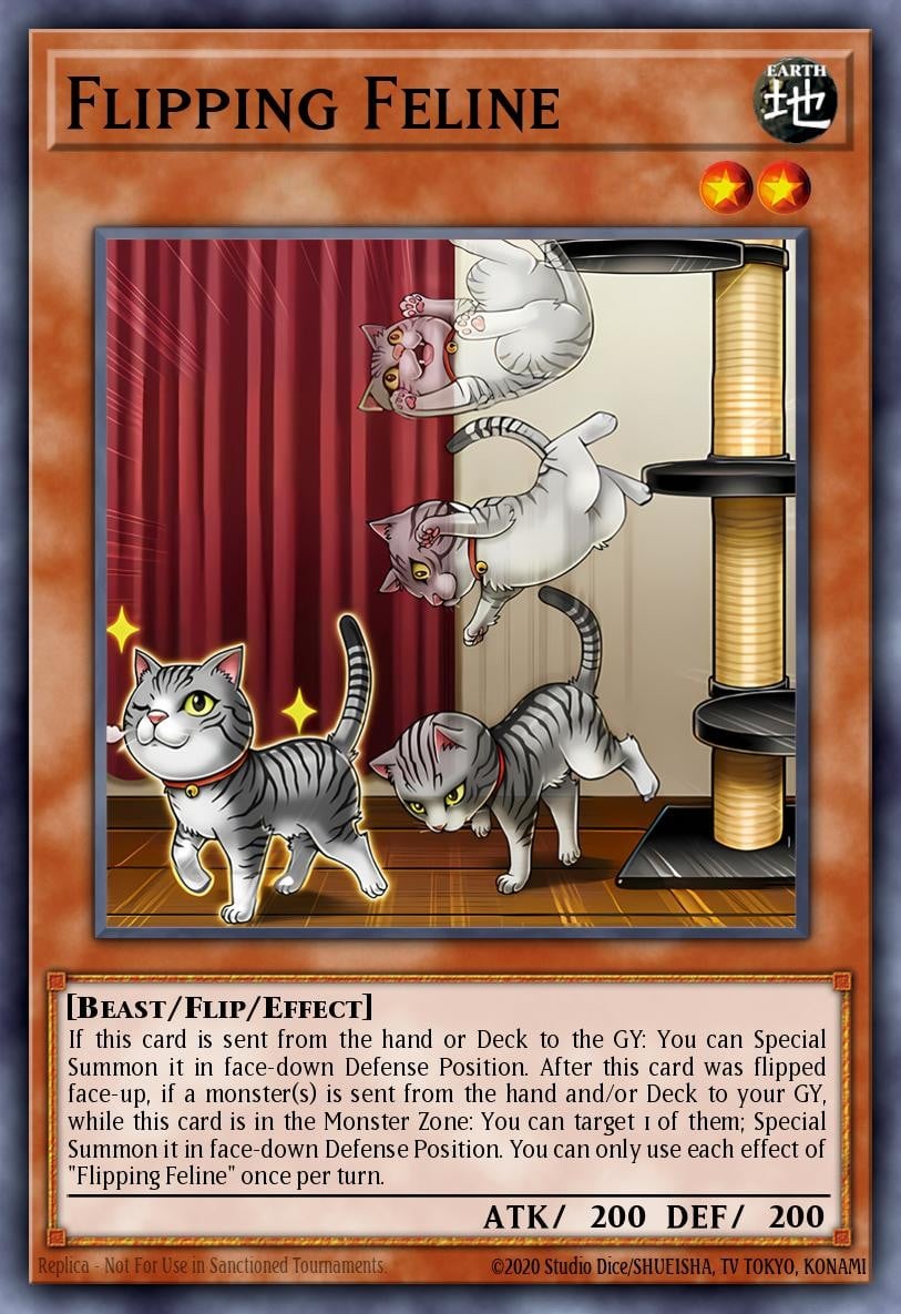 Flipping Feline - Image 1
