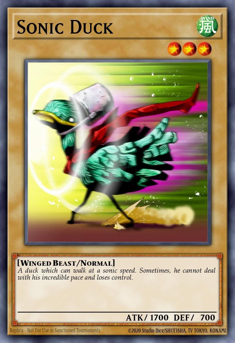 Sonic Duck - Image 1